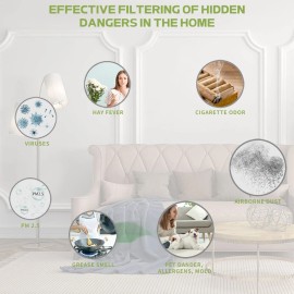 Home HEPA Air Purifier Large Room Air Cleaner for Allergies Smoke Mold Odor Dust
