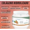 2 Piezas Colágeno Hidrolizado Ginkgo Biloba 450g Shelo Nabel
