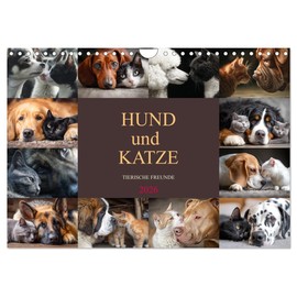 Dog and cat - animal friends, US-Version (Wall Calendar 2026 DIN A4 Landscape), CALVENDO 12 Month Wall Calendar