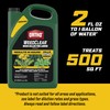 Ortho WeedClear Weed Killer for Lawns Concentrate, Kills Dandelion and