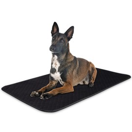 Aulase Chew Proof Dog Crate Bed Pad, Enhanced Quilted Indestructible Dog Kennel Pad for Aggressive Chewers, Washable Dog Mat for Crate, Water Resistant Kennel Pad for Teething Puppy (Black, 35"x23")