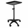 Adjustable Aluminum Rolling Salon Tray with 360° Wheels, 18 x