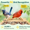 PeckCam® Bird Feeder with Camera - 4MP 2K Live AI