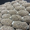 CARP KING Pre tied PVA mesh bags with mixed pellets