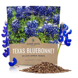 Texas Bluebonnet Wildflower Seeds - Bulk 1/2 Ounce Packet - Over 500 Native Seeds - Texas State Flower!