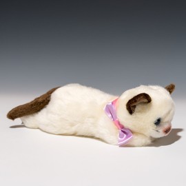 Ribbon Cat Siamese Cat