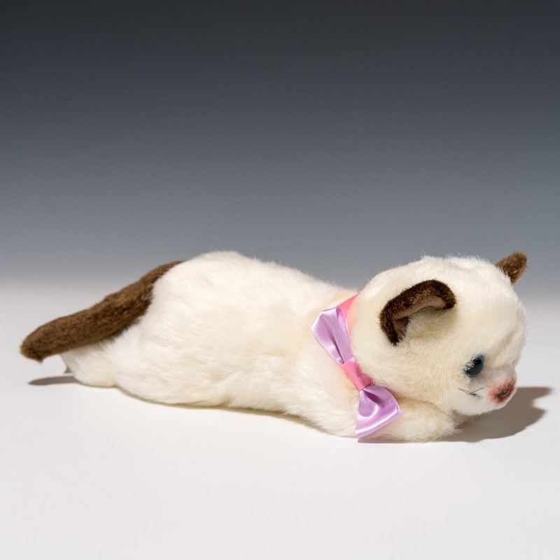 Ribbon Cat Siamese Cat