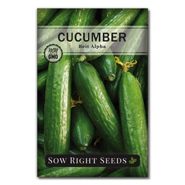 Sow Right Seeds - Beit Alpha Cucumber Seeds for Planting - Non-GMO Heirloom Packet with Instructions to Plant and Grow a Home Vegetable Garden - Start Indoors, Plant Outdoors with Trellis (1)
