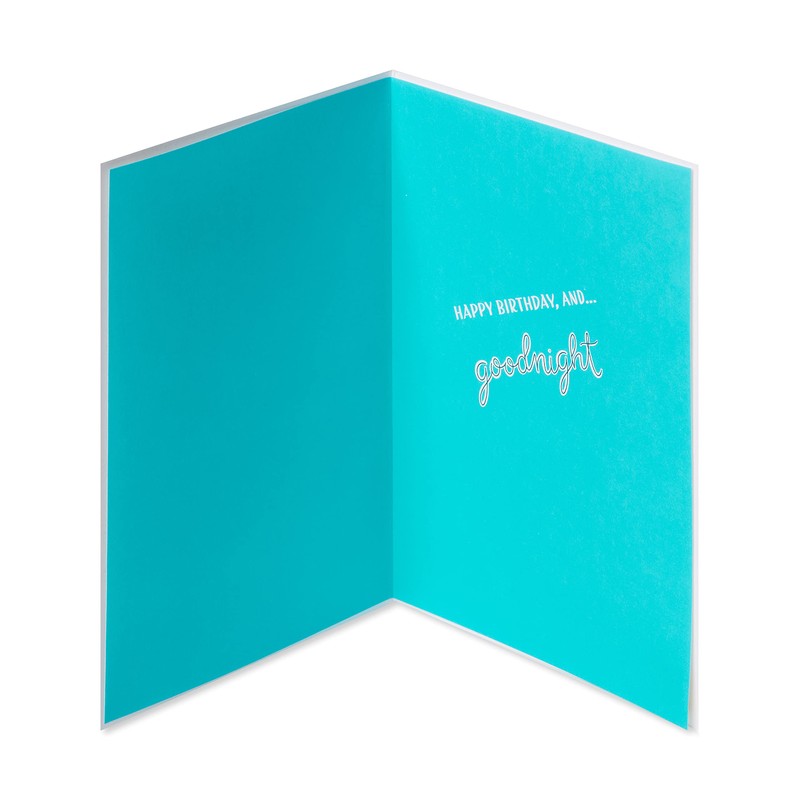 Papyrus Funny Birthday Card (Goodnight)