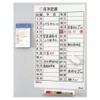 Mag-X Magnetic Week Sheet