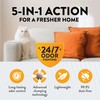 ARM & Hammer Hardball Clumping Cat Litter, Garden Bloom, 14.5