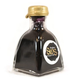 Obsidian Dragon Black Shimmer Indelible Fountain Pen Ink