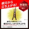 Success Shampoo Volume Up Type