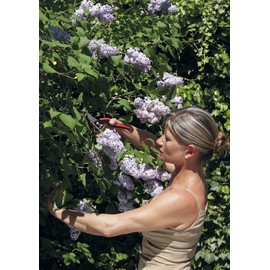 FELCO 160L Pruning Shears (Cutting Capacity 1.0 inches (25 mm) / Lightweight