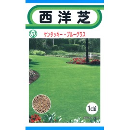 TOHOK Corporation Western Turf 1dl 09973