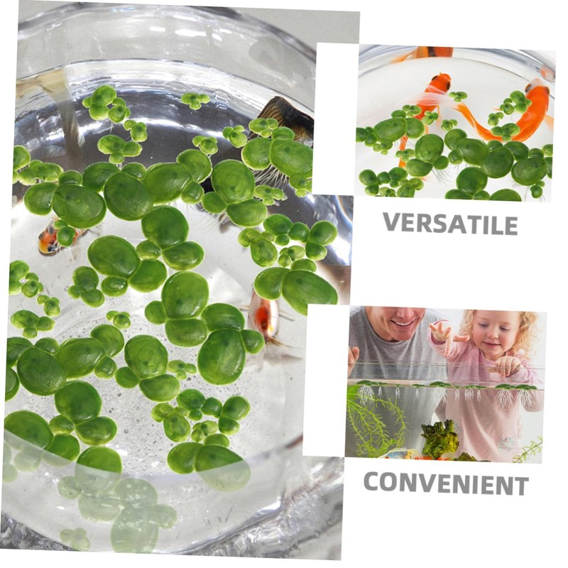 Kisangel 6 Pack Fake Floating Duckweed for Aquarium Pond Natural