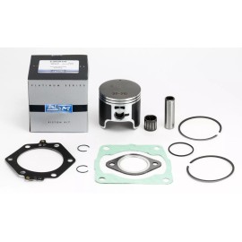 WSM Polaris 300 2x4, 4x4, 1994-1995, .020 over Platinum Piston/Gasket Engine Rebuild