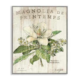 Stupell Industries French Magnolias In Spring Framed Giclee Art Design by Sue Schlabach
