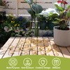 Plant Stem Supports for Indoor Plants, Durable Iron Monstera Plant