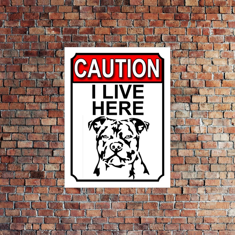 CAUTION I LIVE HERE METAL GATE SIGN DOG THEME 200MM