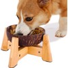 Dog Bowl for Cats and Small Dogs - All-Natural, Polished