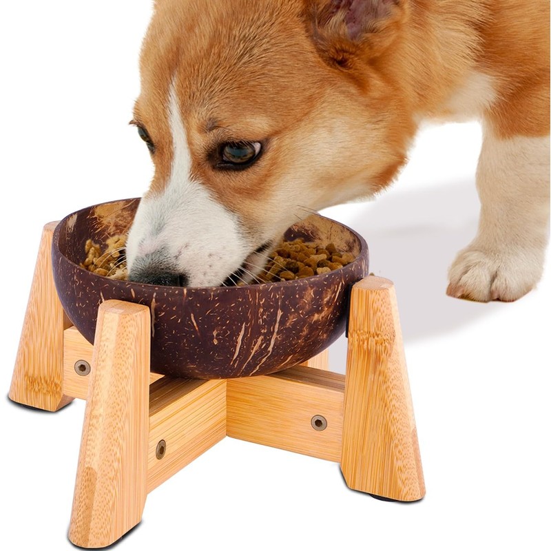 Dog Bowl for Cats and Small Dogs - All-Natural, Polished