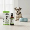 Probióticos Para Perros 100% Natural 3 En 1 Apoyo Digestivo