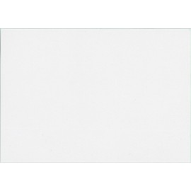 L-format Paper for Color Laser, Double-Sided Gloss 242.3 lbs (110 kg), ex (100 L Sheets)