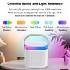 Karaoke Machine, Portable Bluetooth Speaker with Microphones for Adults and