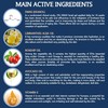 Evimeria Vitamin E + DMAE Strong Anti-Wrinkle and Anti-Ageing Cream