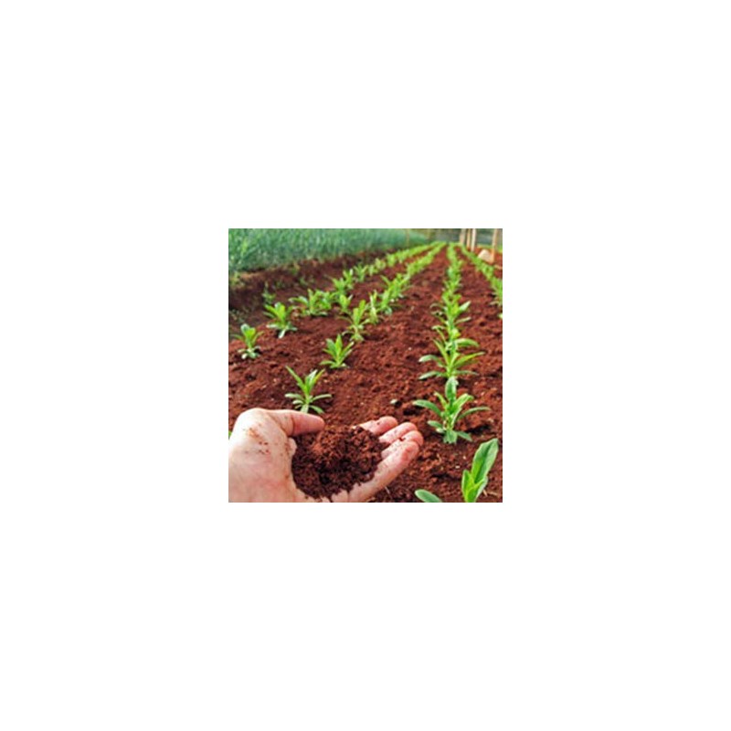 UbiBot RS485 Soil Temperature and Moisture Sensor, Stainless Soil Probe