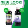Dynamic Health Blueberry Concentrate, 100% Concentrate, Unsweetened, No Additives, Brain