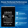 2 Pack UB645 6V 4.5AH Battery for LA640, FP640, CP640,