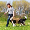 Tactical Dog Harness for Medium Large Dogs No Pull Adjustable