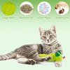 Binlava Cat Toy, Catnip Toy, Cat Cushion, Interactive Cat Toy,