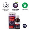 Sambucol Natural Black Elderberry Extra Defence, Vitamin C, B6 &