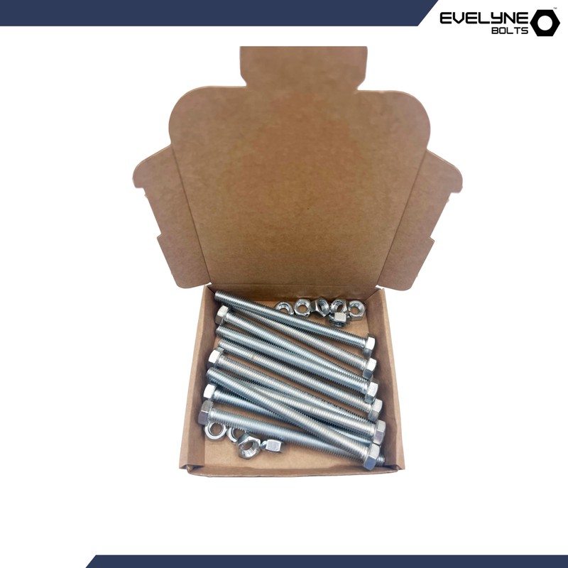 M8 Nuts & Bolt 10 Pack (M8 x 100mm Bolts
