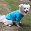 HuaLiSiJi Dog Jumpers Medium Dog Sweatshirt Dog Fleece Jumpers Dog