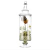 Apothecary Jars Glass Decorative Candy Jars,Candy Buffet Display, Elegant Storage