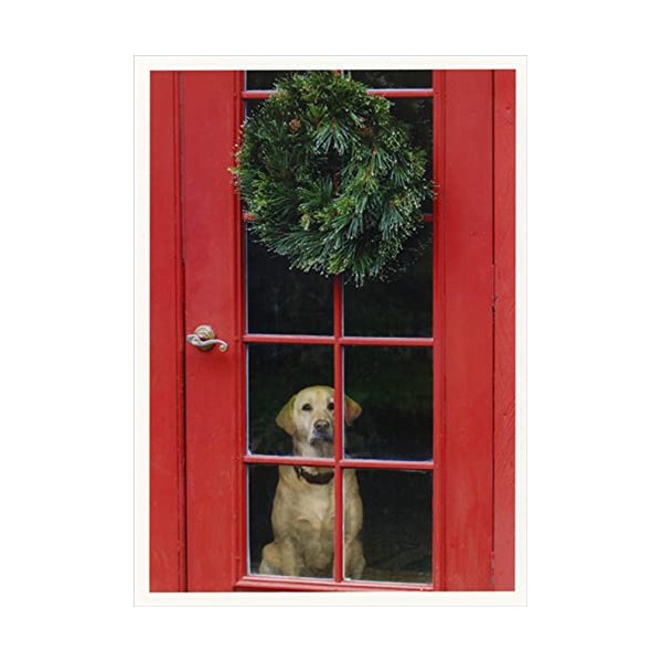 Palm Press Labrador : Red Door and Wreath Box of