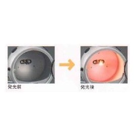 [Koukento] Carbon lamp German carbon [SF-112B] - #1000 (Kinonoris)