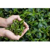 Denise's Fine Tea, USDA Organic, Alishan High Mountain Oolong, Luxury