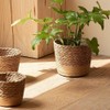 PRATYAHARA Straw Weaving Flower Plant Pot Wicker Basket Rattan Flowerpot