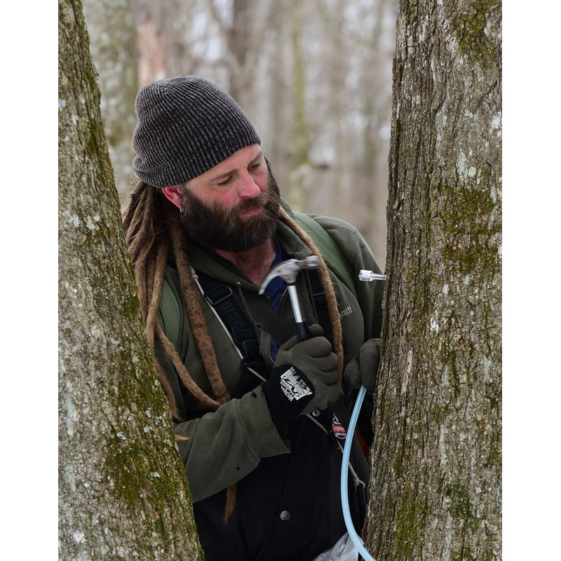 Maple Valley Organic Pure Maple Syrup, Amber and Rich, Better