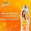 Acondicionador Caprice Reparación Néctar De Miel 720 Ml