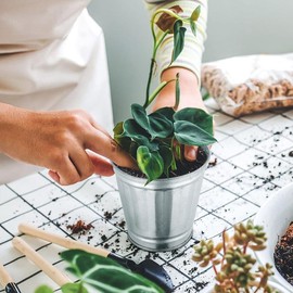 jojofuny 3pcs Mini Trash Can Small Metal Trash Can with Lid Galvanized Trash Can with Lid Desktop Trash Can Candy Buckets Mini Wastebasket Set Desk Garbage Can Lovely Garbage Can Flowerpot