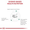 Royal Canin Feline Satiety Support - Comida seca para gatos