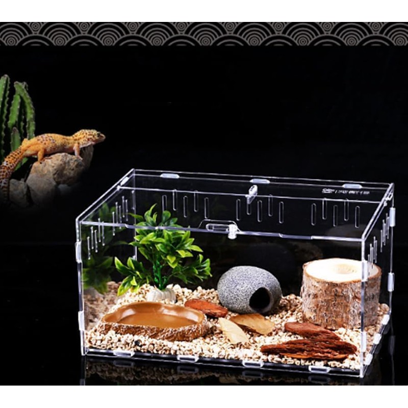 CiCixixi Transparent Acrylic Terrarium, 360° View, for Reptiles and Insects,
