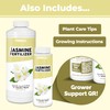 TPS NUTRIENTS Jasmine Fertilizer for All Flowering Jasmine Shrubs and