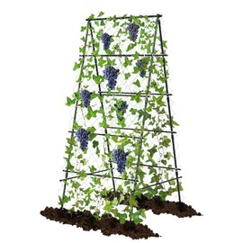 AlisisFores Garden Trellis for Climbing Plants, A-Shape Garden Plant Support Frame for Raised Bed Vegetables, Provides Support for Beans, Tomatoes and Cucumber, Black